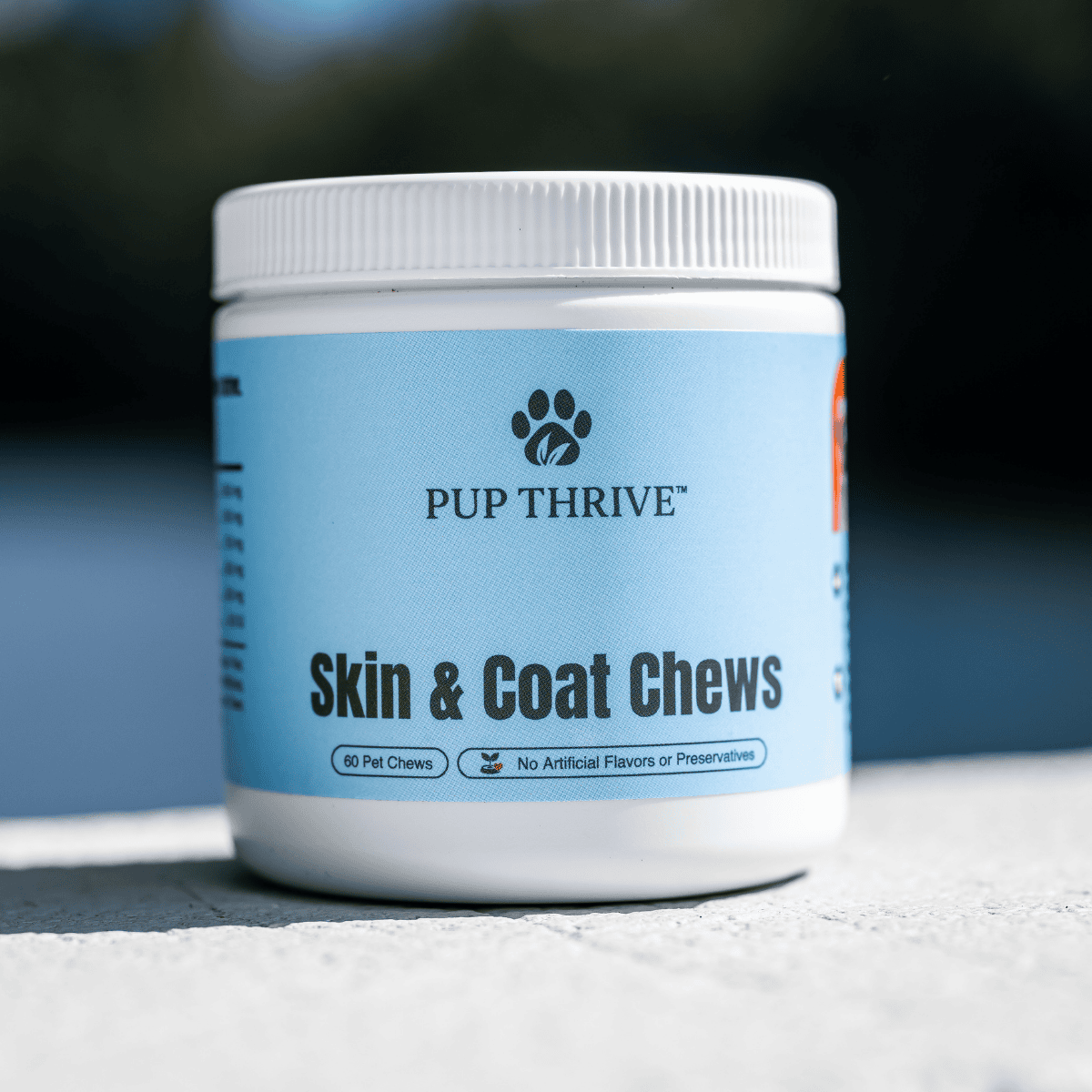 A container of Pup Thrive Skin and Coat Chews sits against a natural background.
