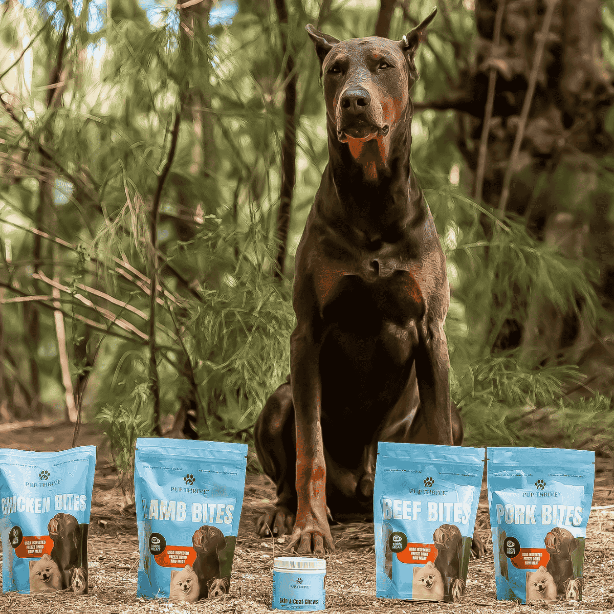 Dog sitting outdoors with packages of dog treats labeled 'Chicken Bites', 'Beef Bites', 'Lamb Bites', and 'Pork Bites'.