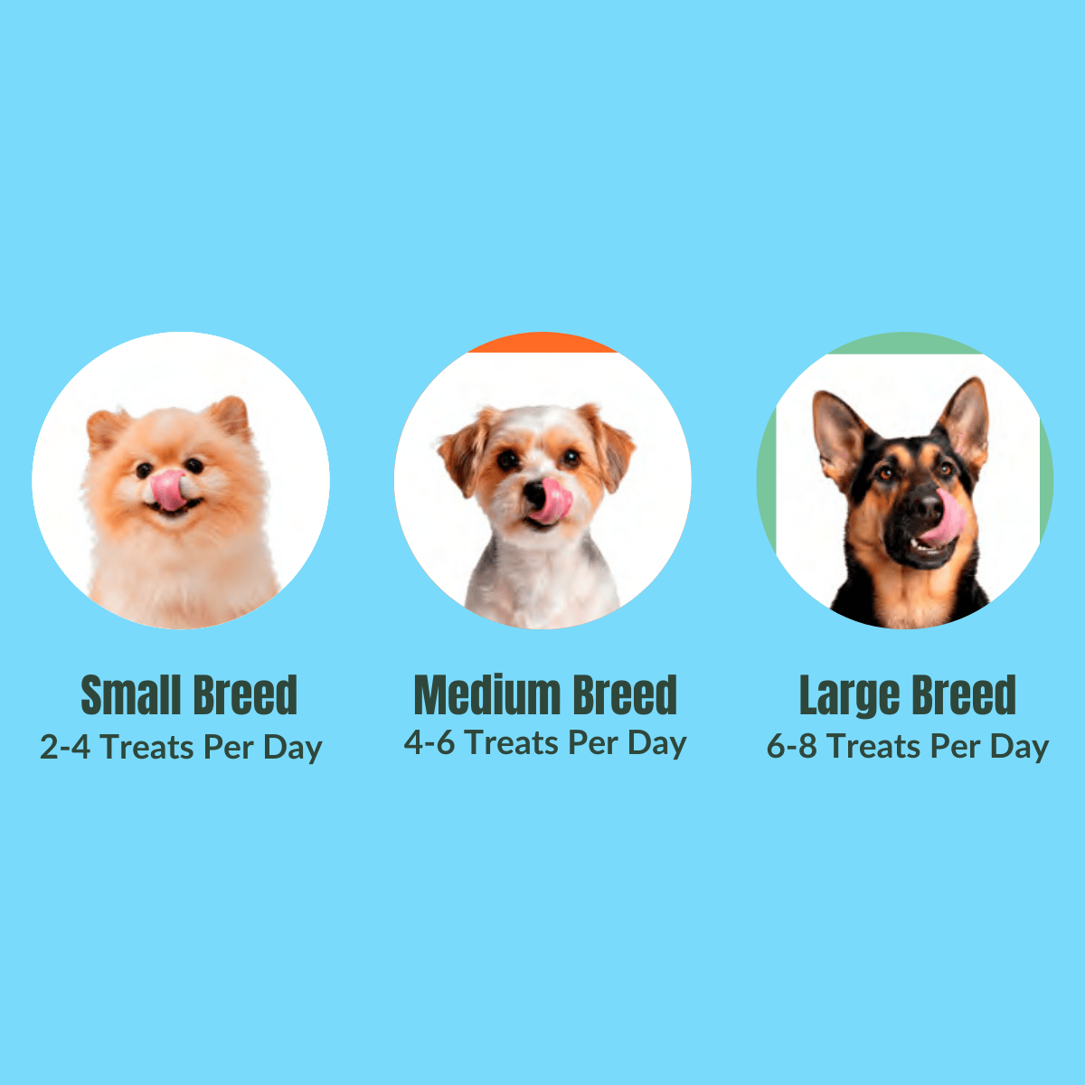 Chart showing recommended treats per day for small, medium, and large dog breeds on a blue background.