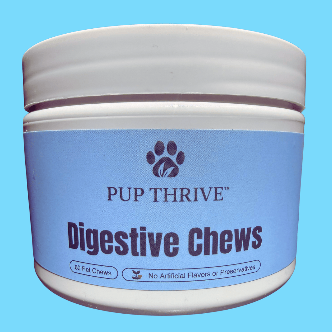 Jar of Pup Thrive Digestive Chews on a blue background