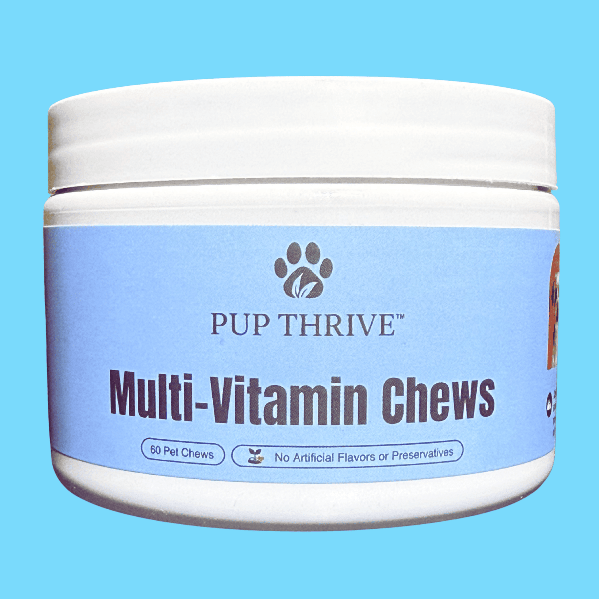 Multi Vitamin & Mineral Pet Chews - 60 Count